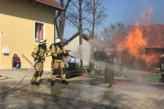 Foto 08.04.18, 13 06 23 (3)