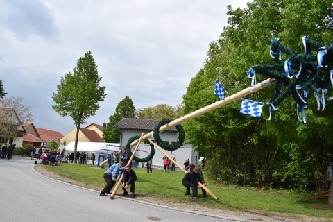 DSC_0443